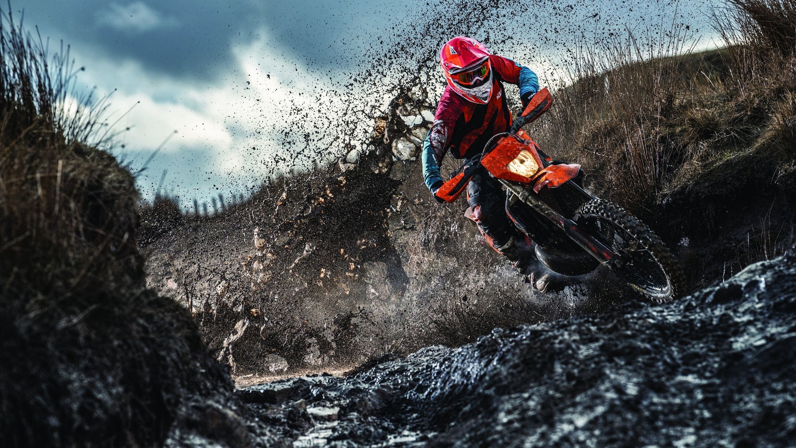 当利爪遇见蜂刺,武切维奇在风暴眼中雕刻稳定