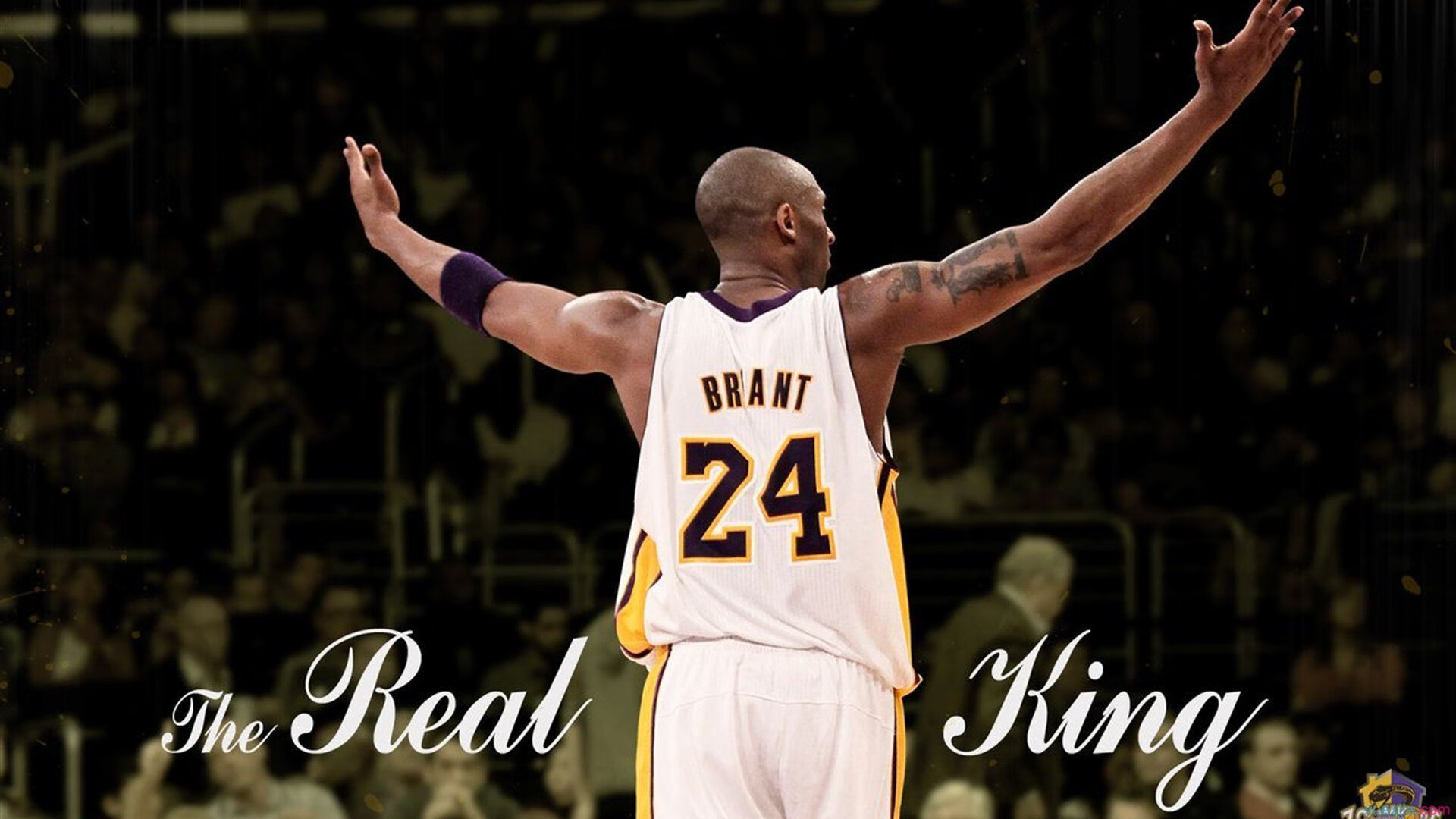 奥运周期关键战之夜，英格拉姆在焦点战证明自己